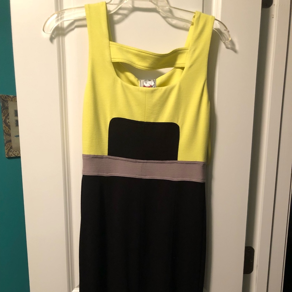 Yoana Baraschi Dress
